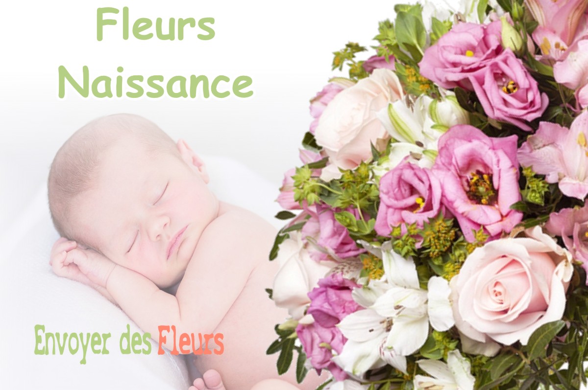 lIVRAISON FLEURS NAISSANCE à BONREPOS-RIQUET