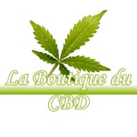 LA BOUTIQUE DU CBD BONREPOS-RIQUET 